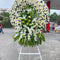 All Sympathy Flowers